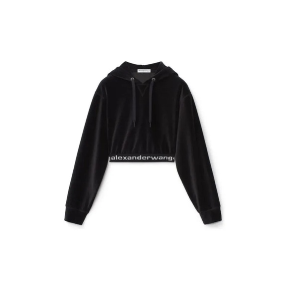 ALEXANDER WANG Velvet cropped hoodie; fits like S/M - Picture 1 of 6